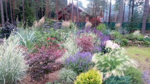 ��� ����������� �������: ������ ��� ������������ ��������