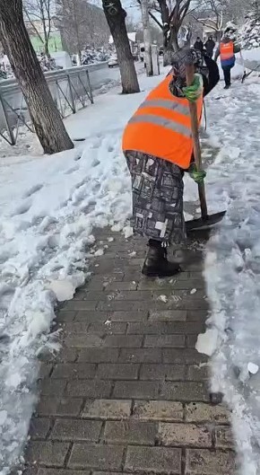 ������ �� ��������� ��������� �� �������� ������������