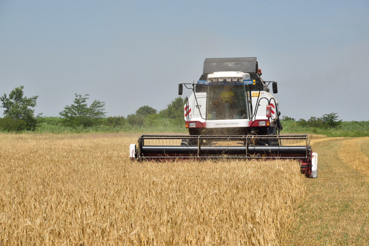 Почти на 2,5% выросло производство сельхозпродукции в Дагестане по итогам 2025 года Почти на 2,5% выросло производство сельхозпродукции в Дагестане по итогам 2025 года