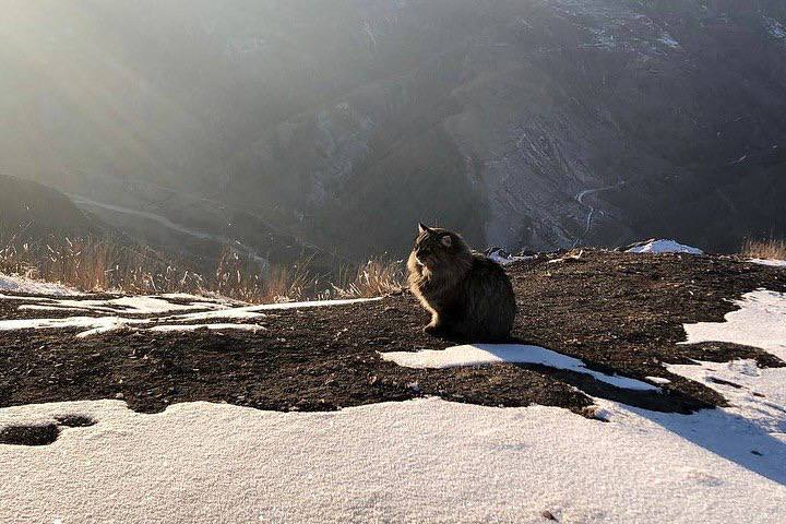Кадры живописной зимы в горах Дагестана Кадры живописной зимы в горах Дагестана