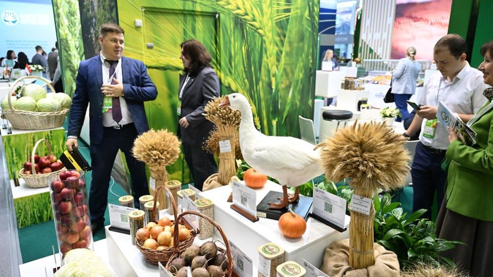 Дагестан нарастил производство сельхозпродукции до 276 млрд рублей