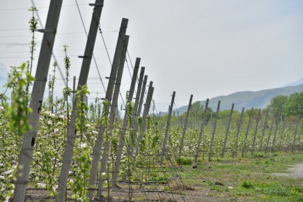 � 2025 ���� ������� ����� ����� � �����-�������� ���� ��������� ������������ � 80 ��. �� ��� ��� ����������� � 4,5 ����