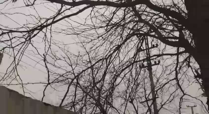 #�������� ������ ���� �� �������, 58 ������ ������� ������