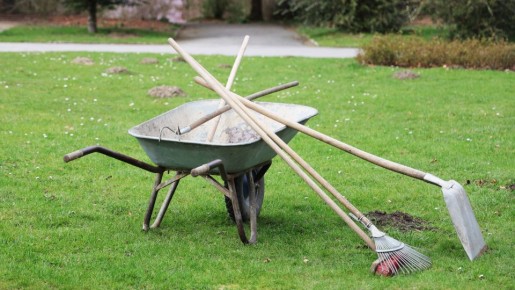 Тяпки и лопаты весной будут как новые: вот что нужно сделать с ними осенью