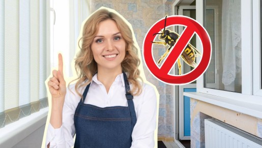 ��� �� ����� ������� �� ����������: ��� ��� �������� ���������� ���������