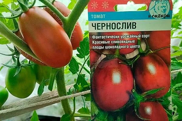 ������ ���������: ��� �� ��������� ���������� � �������� ������ ������