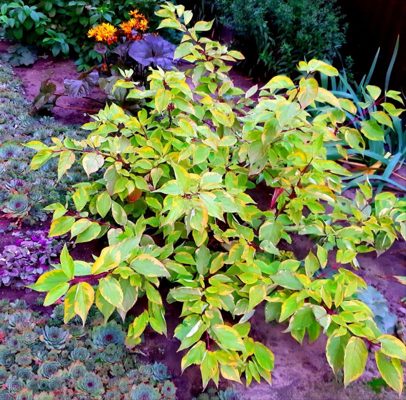 �������� �����: ��� ������ ���������� ��� ���