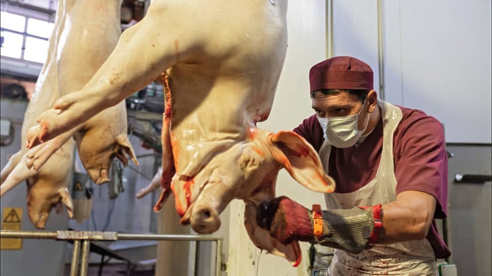 ���� �� ������� ���������� ���������