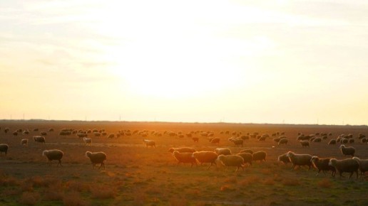 �������� ������ � ����� � ������ � ������ � �������������� ������������� �� 2026 ����