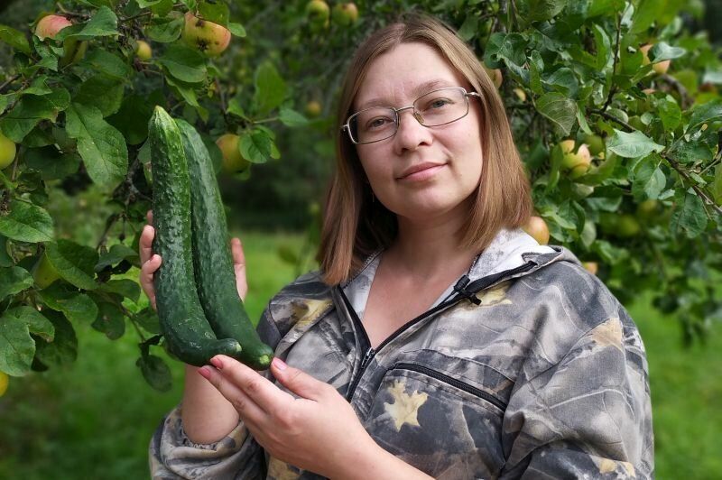 ���-5 ������ ��������� ������� ��� ������� � 2026 ����