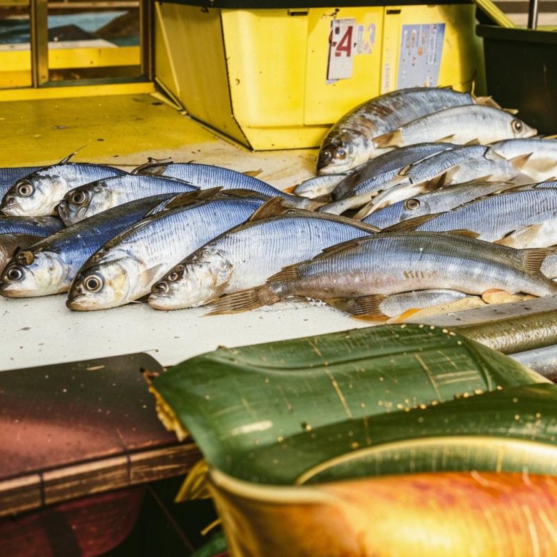 �� ��� � ��������� ��������� ����� 110 �� ��������� ����������� ��������� ����