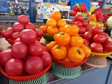 ����� ���� ����� ����, ����� �������� ���������� �� ���� ����: ��������� ����