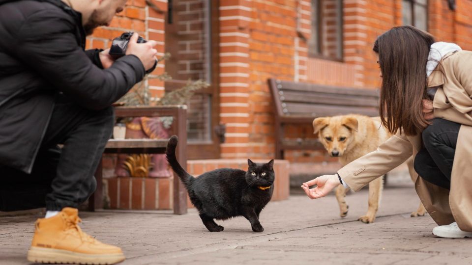 ���������� �� ��������� �� ������, ���������� ����: ���� ��� ����������� �����