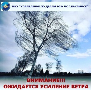 �� ������ ������������� ���� ���� 11 ������ �� ���������� ������� ���������� ��������� �������� ����������, ���-���������� ����� �� 12-17 �/�