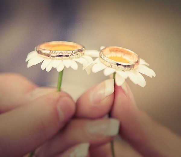 ��� ������������ ��������� �������: ������ ��� �������� ����������