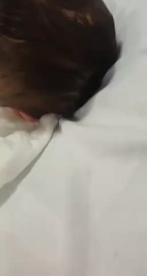 ������������ �� ������������ �������� � ����� ������� ���������� �������� ����� �� �������� ������������� ��������� � 19-������ �������������� ������� ������ �� ����������, ���������� ������� ������ ������