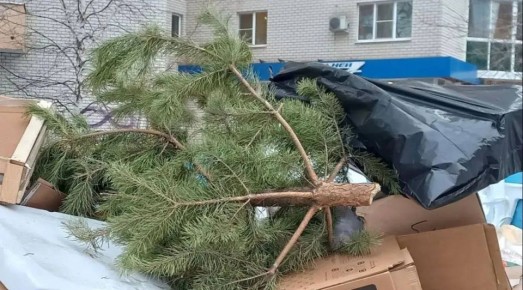 ������������ ���� ���������!