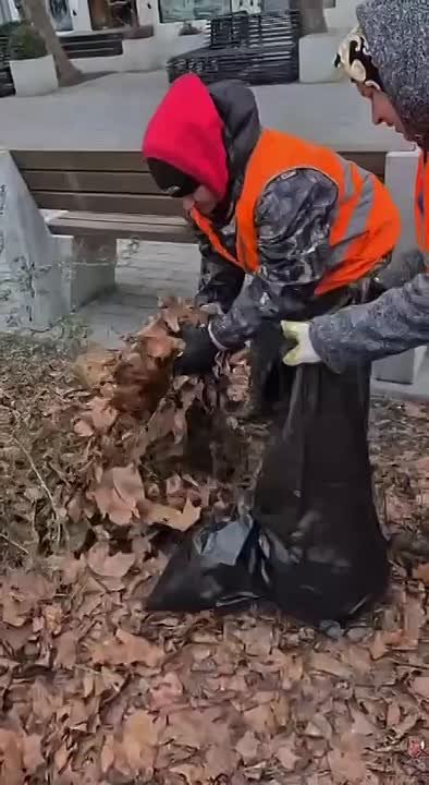 Опавшую листву и сухостой вывозят из парков, скверов и тротуарных зон в Махачкале