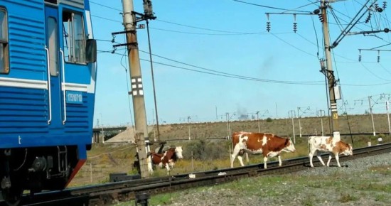 ������������� ��������� �������� ���������� �������� �������� ����� ������������ ���������� � ���������� �������� �������� � �� ��������� �� ��� ���������, �������� ������ ������������� � ��������������� ����� � ������������...