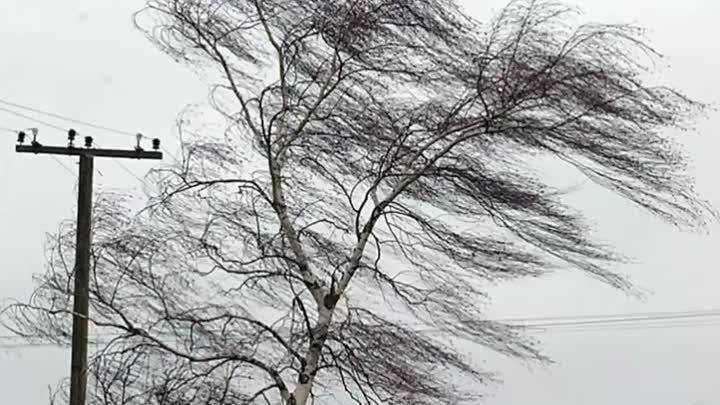 ������������ ��������� ������������� ������� � ����� ������������� ������� � �������� ������, ������� ��������� ��������� ����