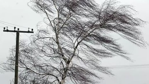 ������������ ��������� ������������� ������� � ����� ������������� ������� � �������� ������, ������� ��������� ��������� ����