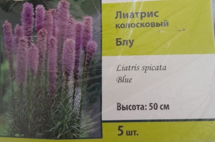 ��� ���������� �� ������: ������� ������� � �����