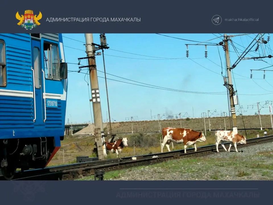 ��������� ������ ���������!