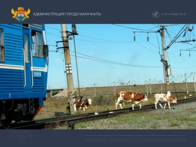 ��������� ������ ���������!