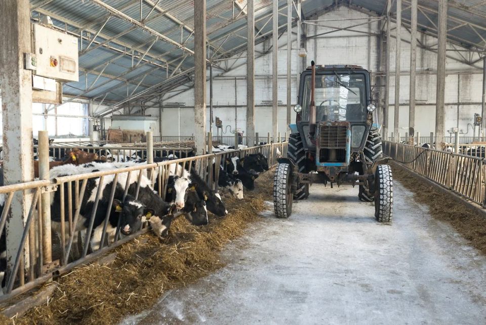 �������� �������� ����� ������������ ������������ ��������� � ���������