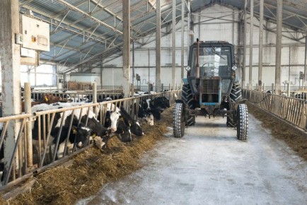 �������� �������� ����� ������������ ������������ ��������� � ���������