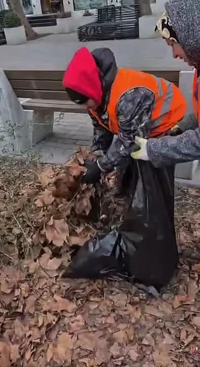 ����������� ��� ���������������� �������� ������ �� ������ ������� ������ � ��������