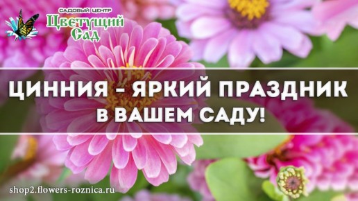 ������: ����� ������� ������ ��� ������ ����