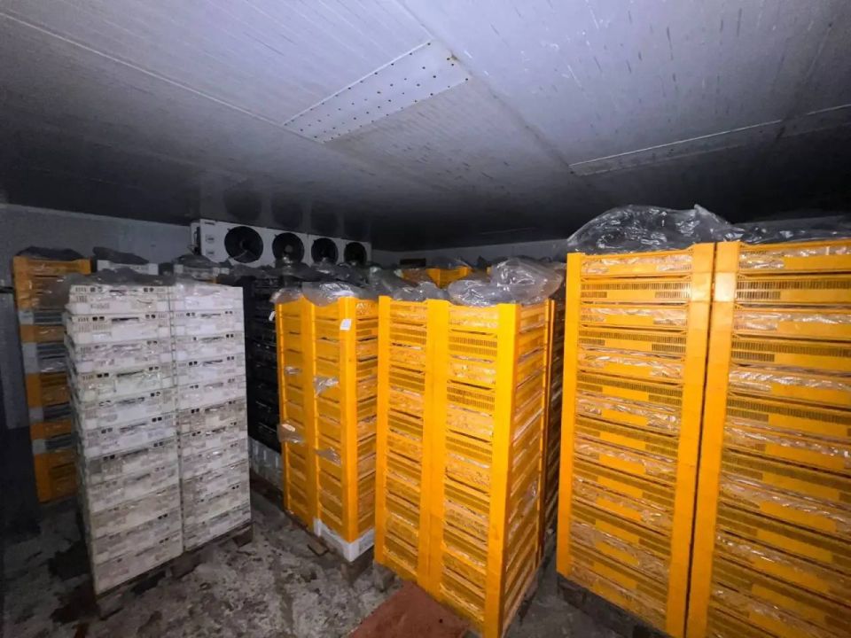 � ������������ ������������������� ������� ��������� ����������� ���� �� 2,7 ��� ������