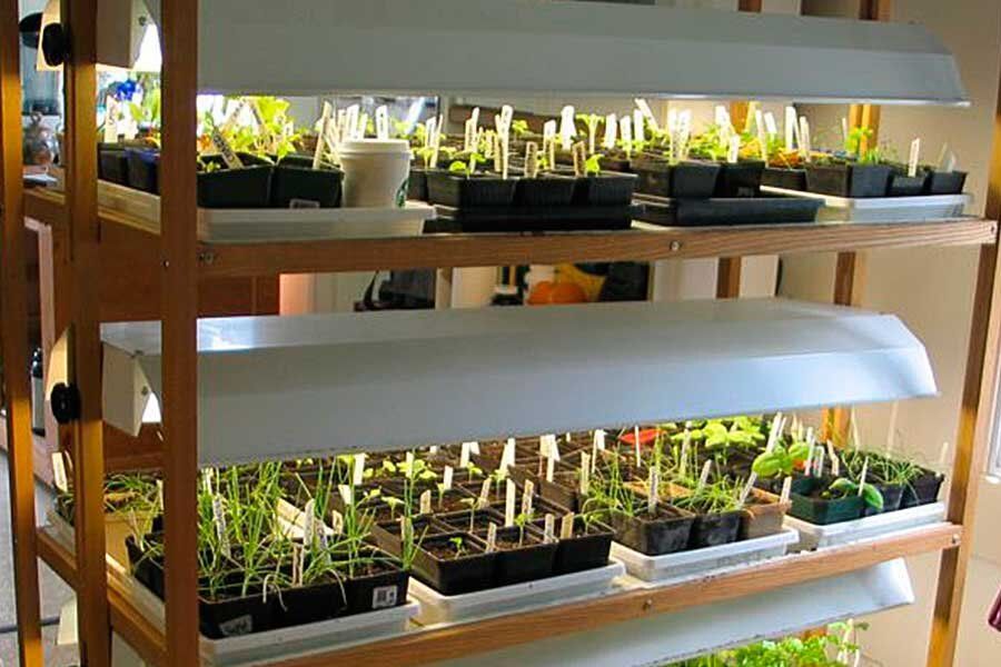 ����������� �����: ����� �������� ����� �������� � ������