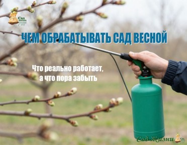 �������� ������� ��� ������ ����: ��� ������������� �����, � ��� - ��������