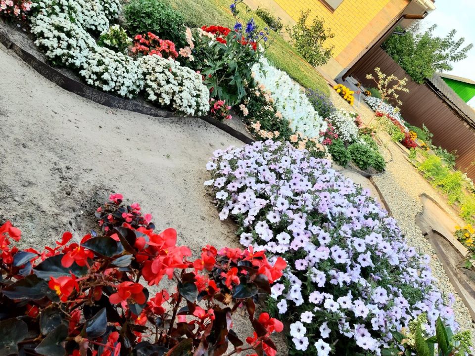 �������� ��������: ��� ������������� ���������� �������