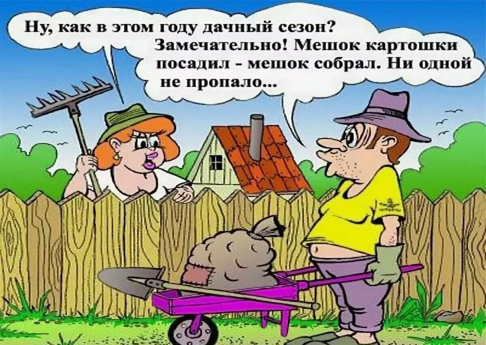 ������� ����: ��� ���� ������ ��������