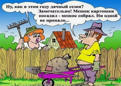 ������� ����: ��� ���� ������ ��������