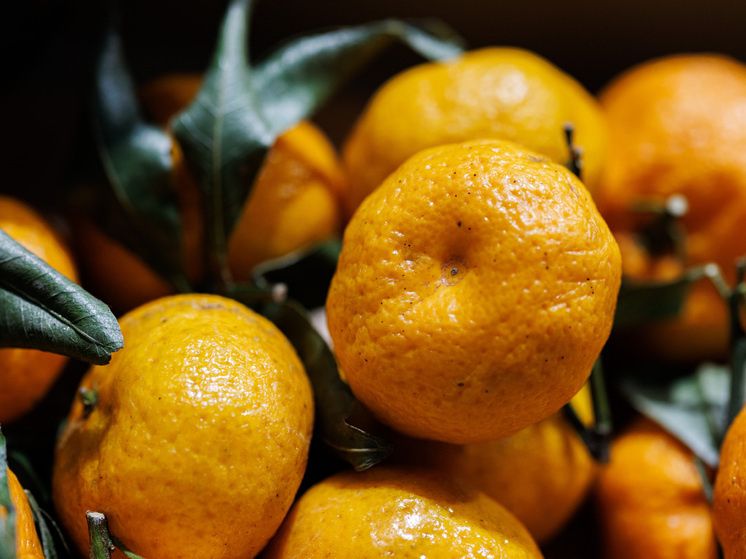 ���������: ������ �������� �������� � �������