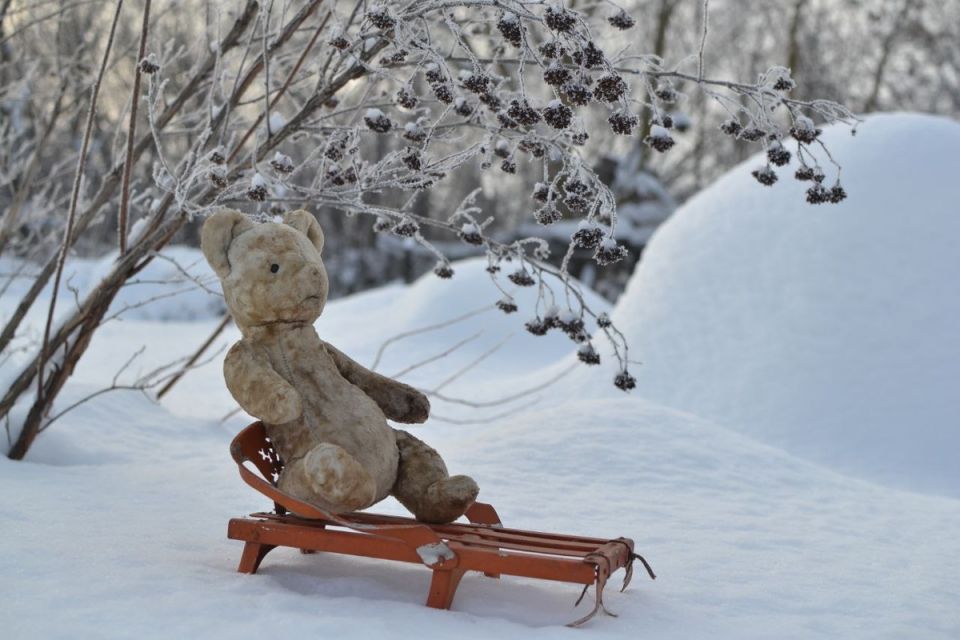 ������ ���: ��� ����������� ����� �������� ��������