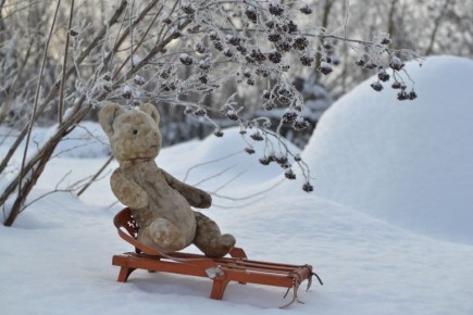 ������ ���: ��� ����������� ����� �������� ��������