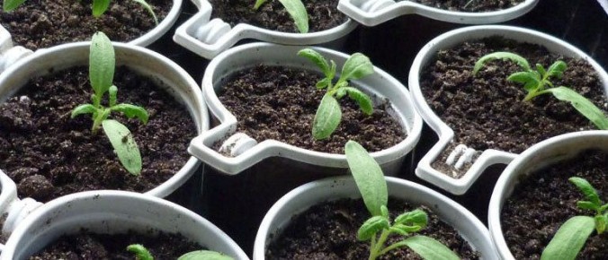 ��� ����������� ������� ������� ���������� ������ �������� � ������� ��������