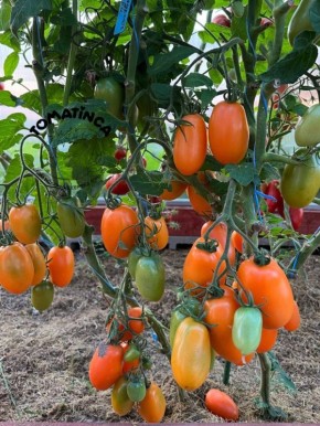 ������, ������� ������� ���� ������: �������� ����� � �� ������������