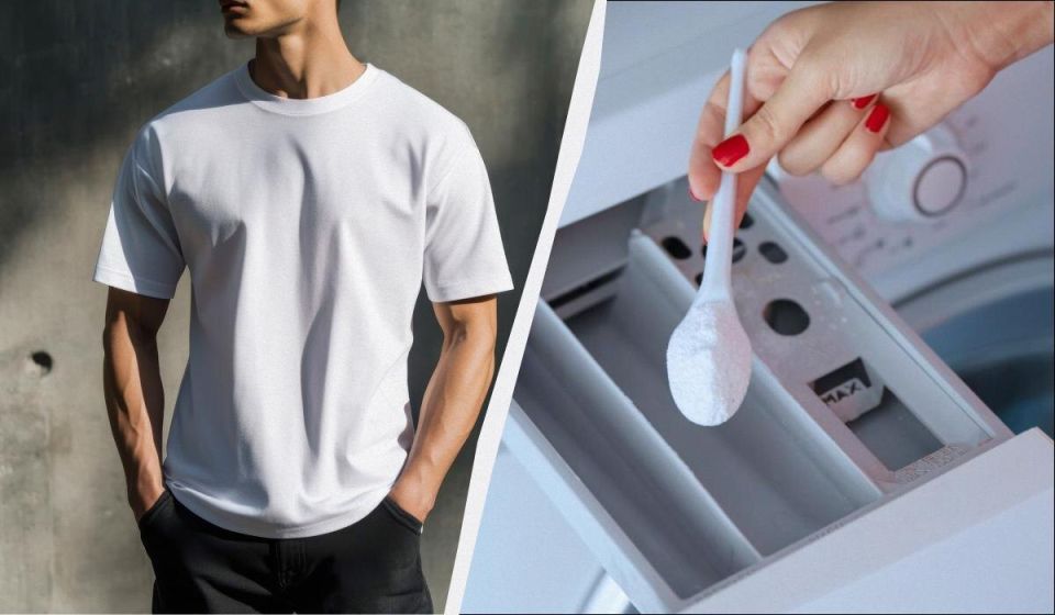 ��� ������� ������� ����� ������� �����