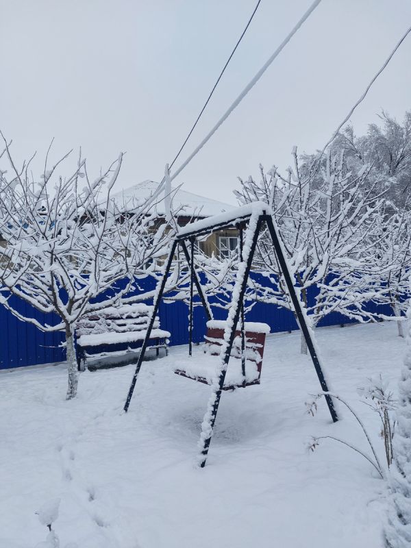 Волшебство новогоднего праздника: как отмечают Новый год в 2026