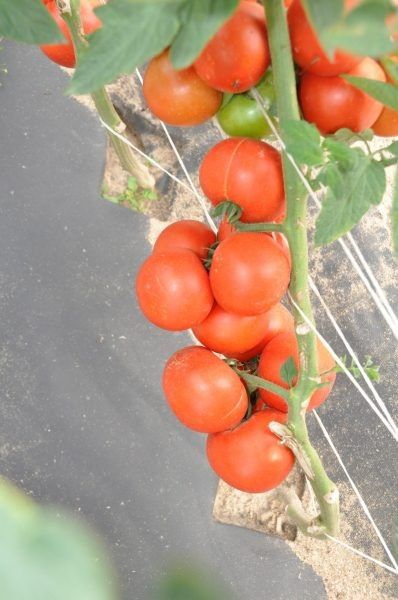 ����� �������� ��: ������� ������ �� ����� �������!