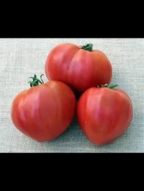 ����� ������: ������� ������ � ����������� ������� � ������� ������