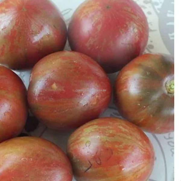 ����� ����� ������: ��� ��������� ���������� ���� �� ����� �������