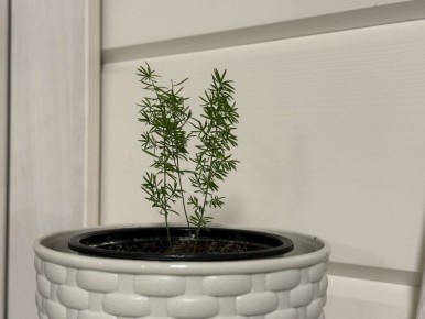 ��� ��������� ������ ���������: ������� ����� �� ��������� �����