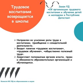 ����� ������ � ����� ����������� � ������ �������: ��� ���������� � 2025 ���� � ���������� ��������?